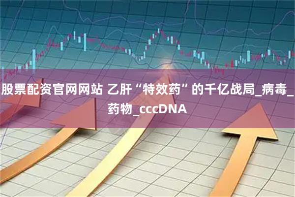 股票配资官网网站 乙肝“特效药”的千亿战局_病毒_药物_cccDNA