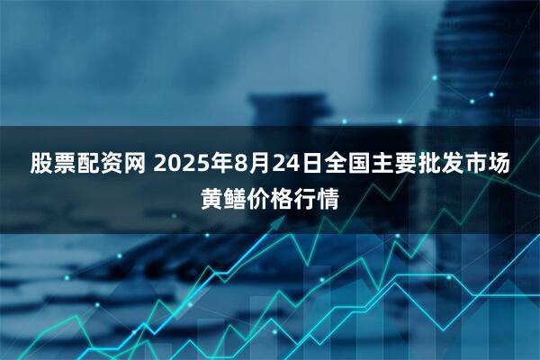 股票配资网 2025年8月24日全国主要批发市场黄鳝价格行情