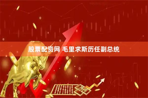 股票配资网 毛里求斯历任副总统